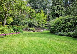 Optimiser l'expérience du jardin à Bustince-Iriberry